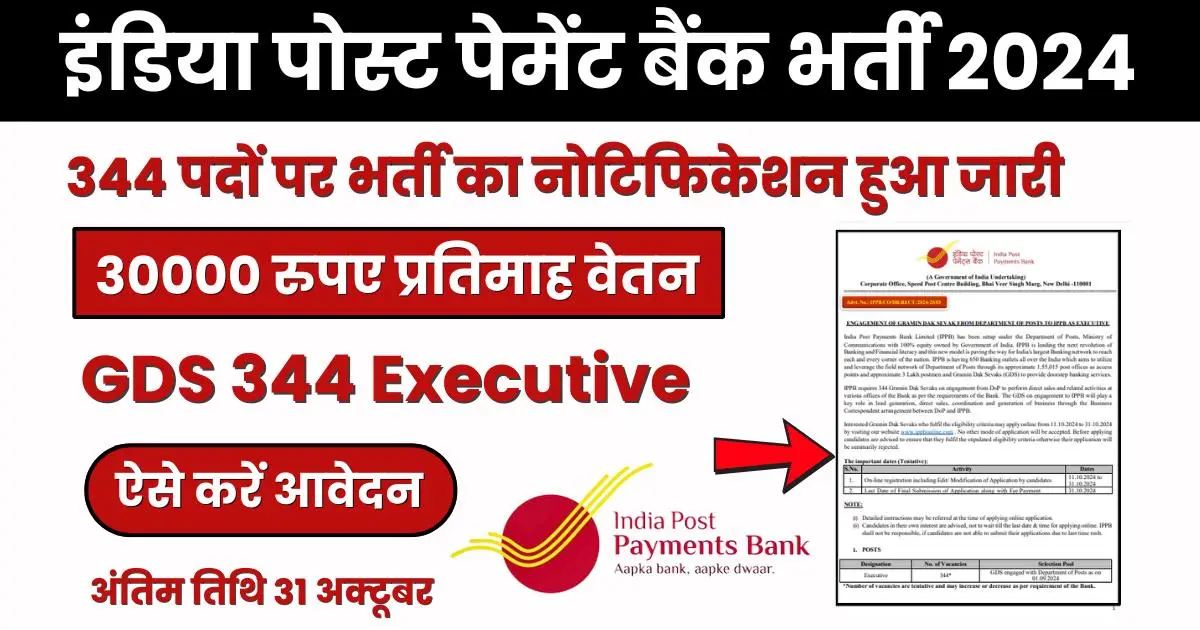 IPPB Executive Vacancy